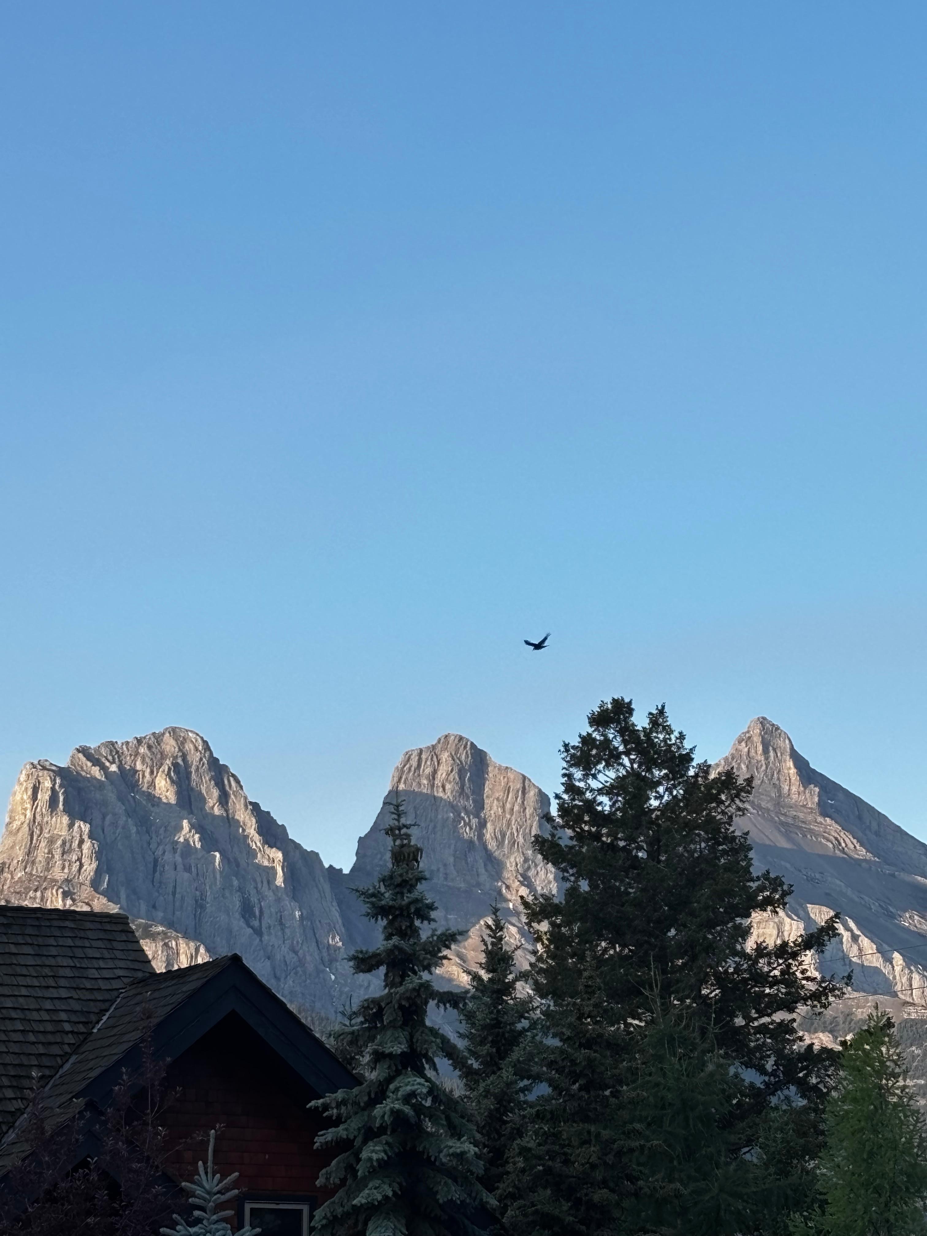 View outside the accommodation.