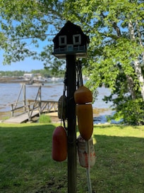 View from back yard
