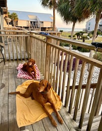 Relaxing on deck