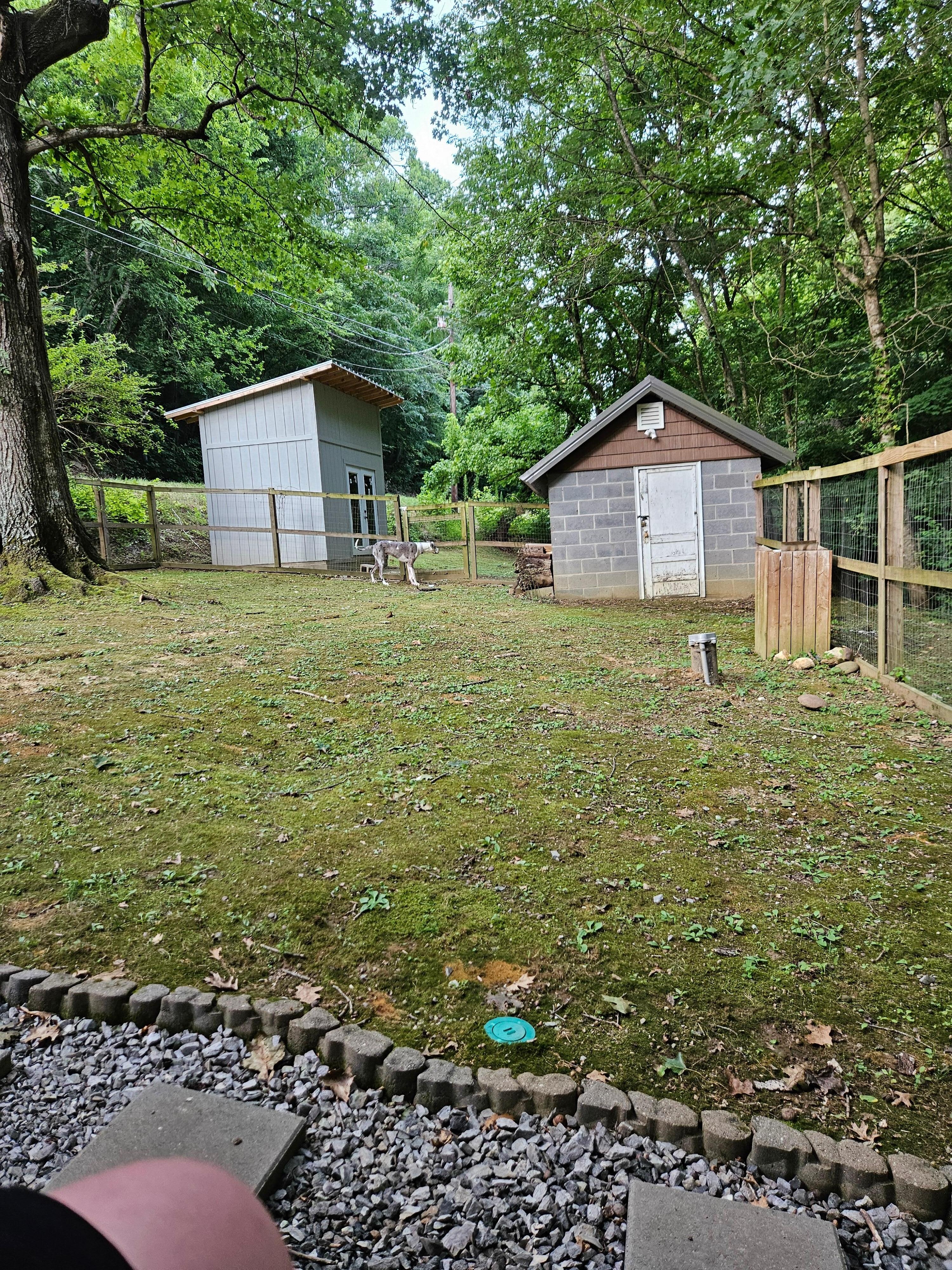 Backyard from the fabulous swing