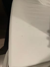mold spots