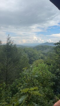 View from back deck