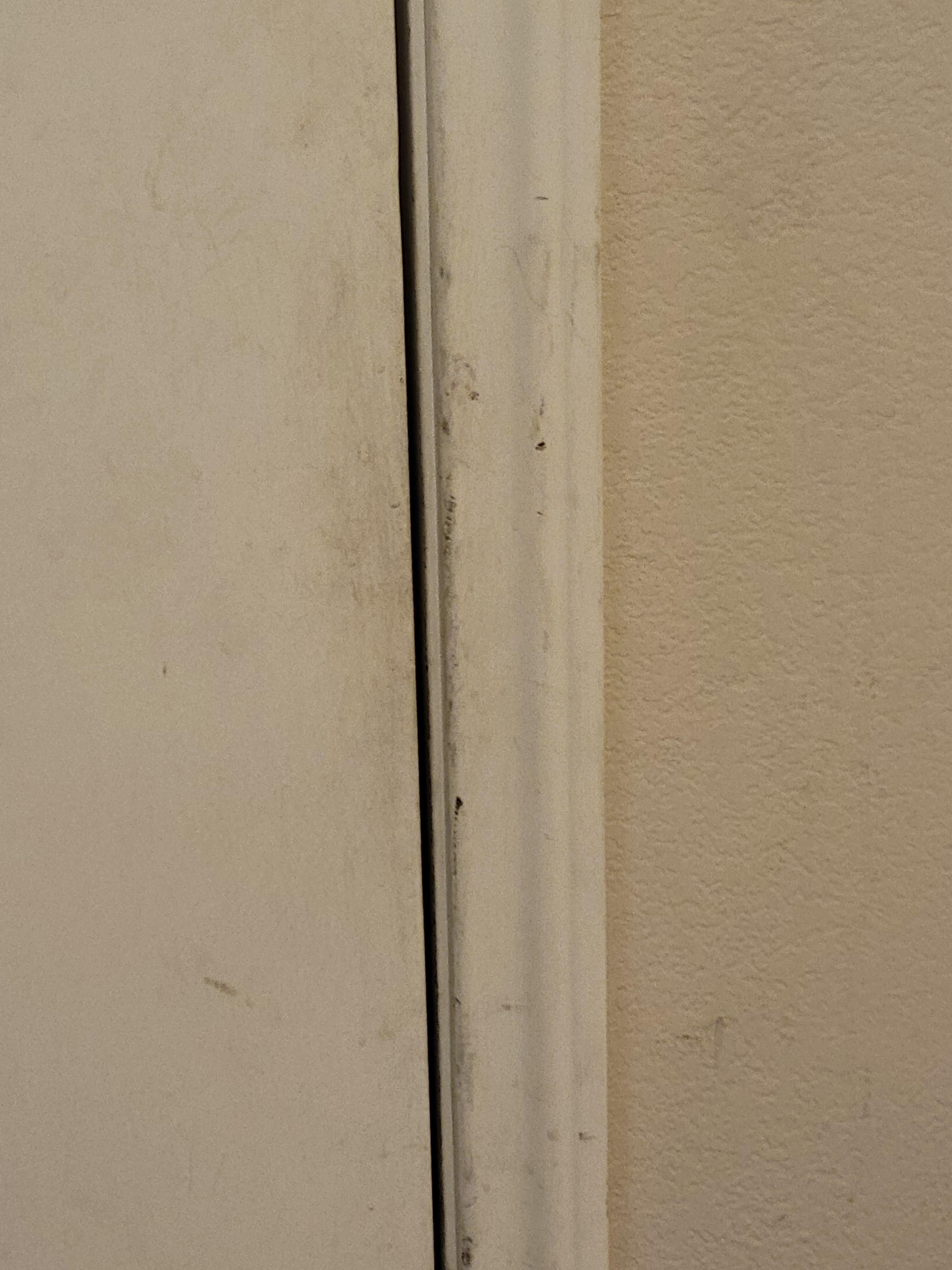 Bathroom door 