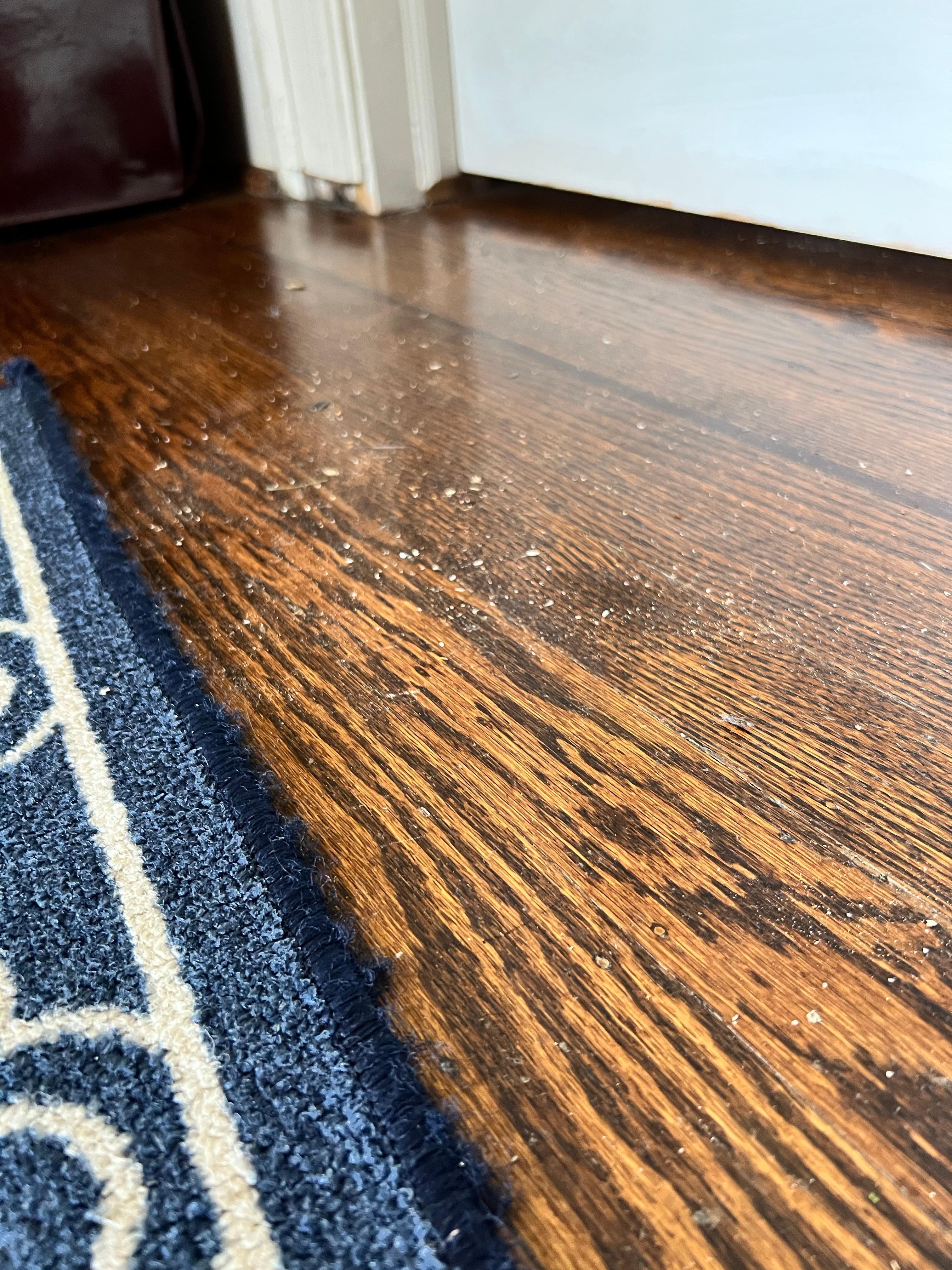 Filthy floors all like this