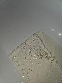 Layers of mold under the bath mat.
