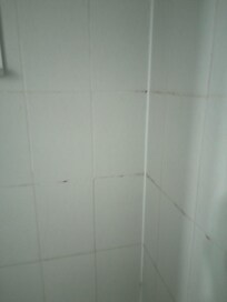 Traces de moisis dans la douche