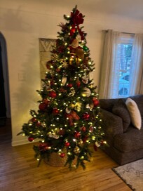 Tree was lit when we got there! Decorated so spectacularly!