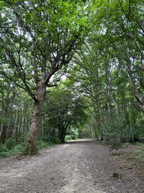 Lots of lovely walks close by