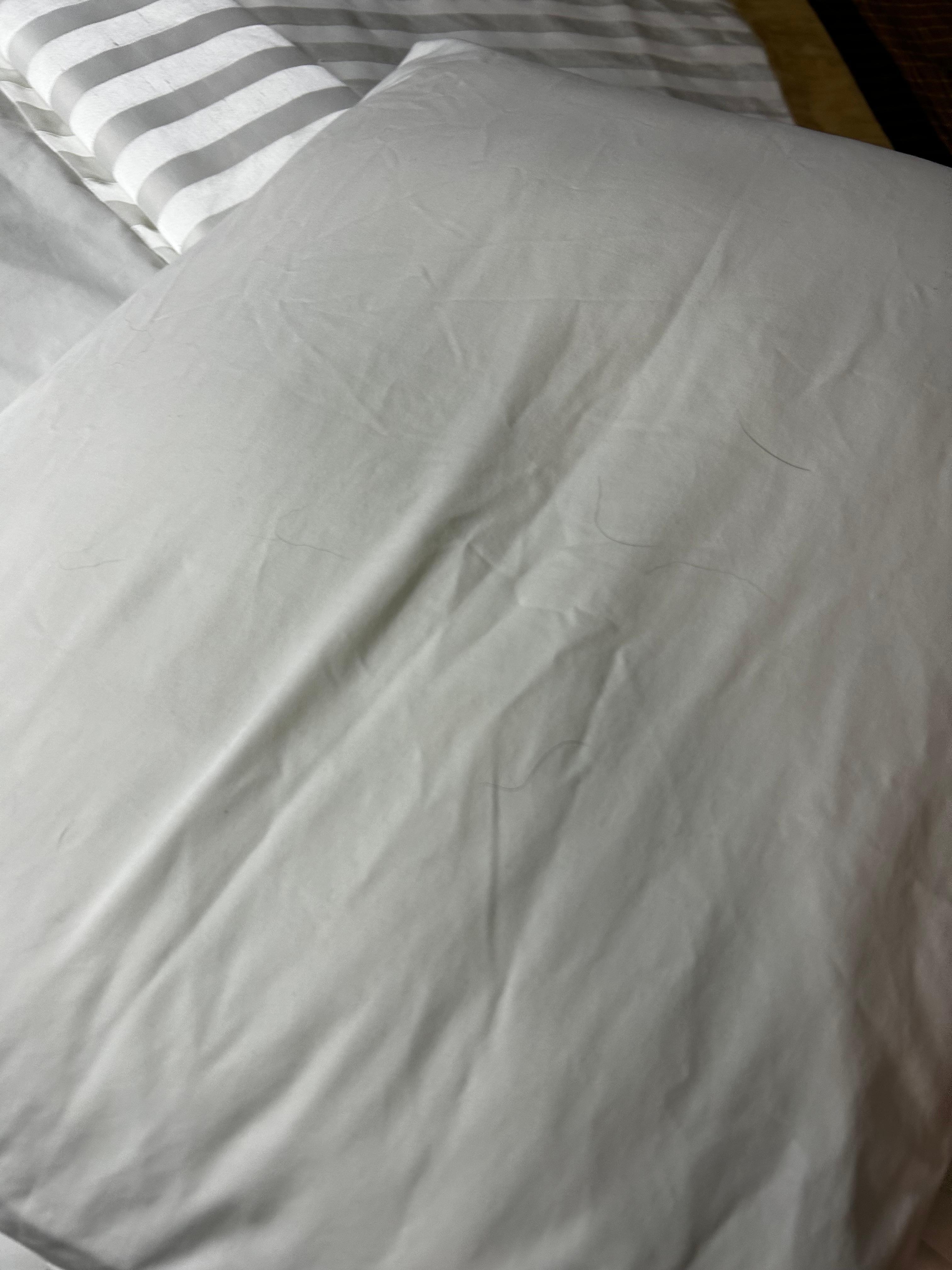 Hair on pillows. Cases never changed 