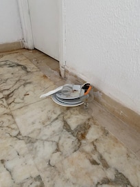 Benutztes Geschirr lag eine Woche im Flur vor andem Zimmer, standen auch noch bei Abreise dort.