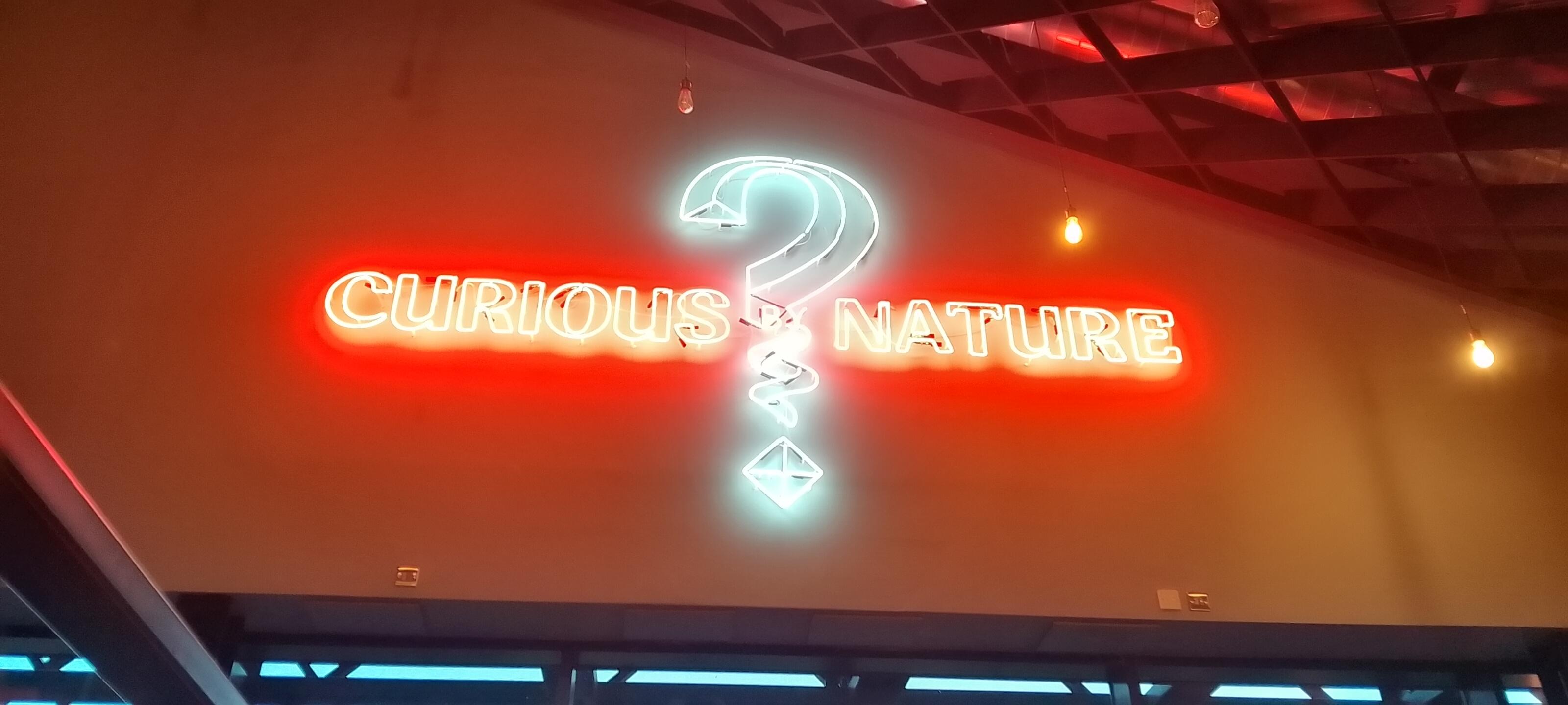 Inside The Curious Brewery
