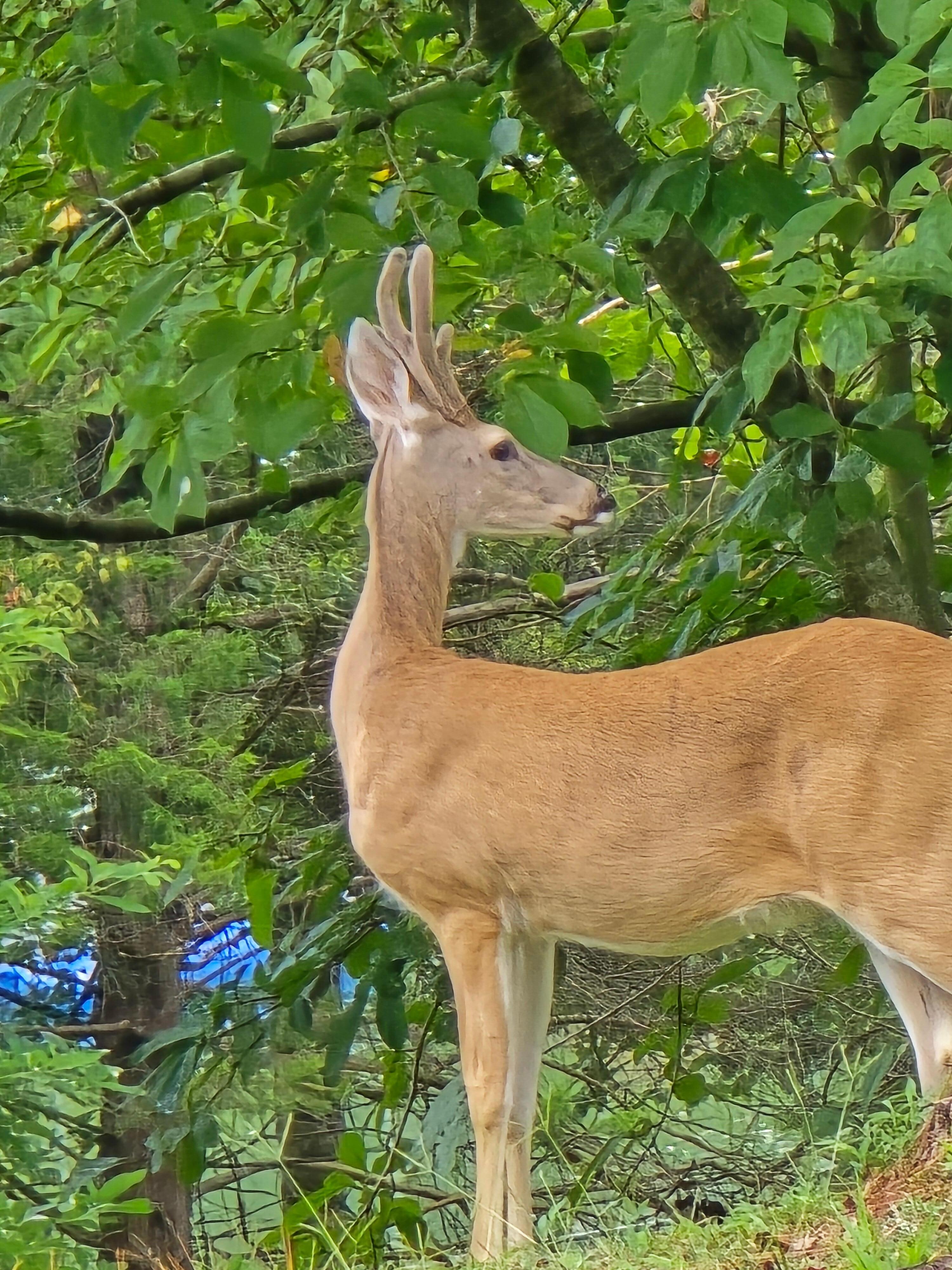 Wildlife was abundant and a great weekend to unplug and spend time with friends