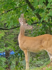 Wildlife was abundant and a great weekend to unplug and spend time with friends