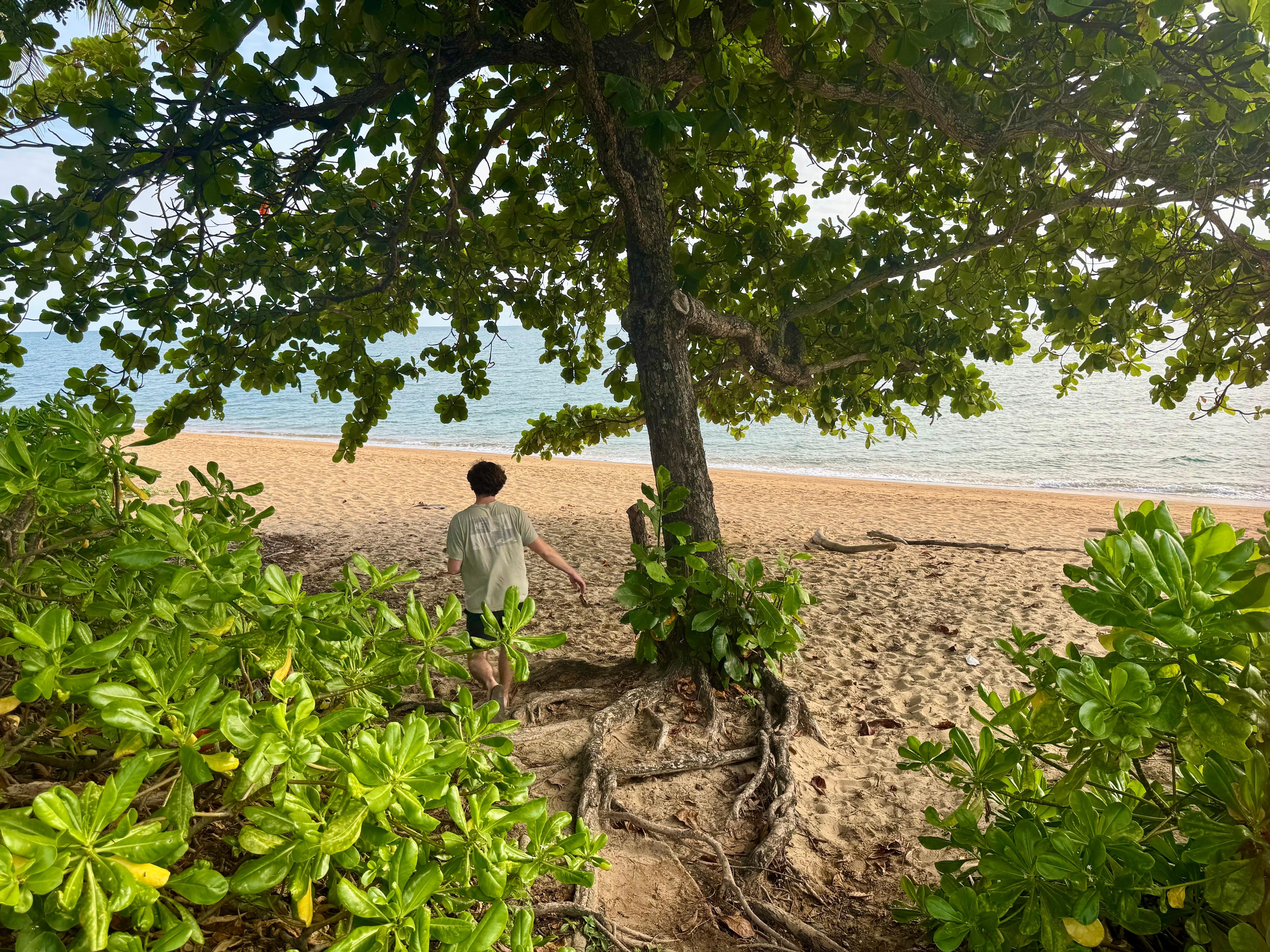 Trinity Beach across the street. 