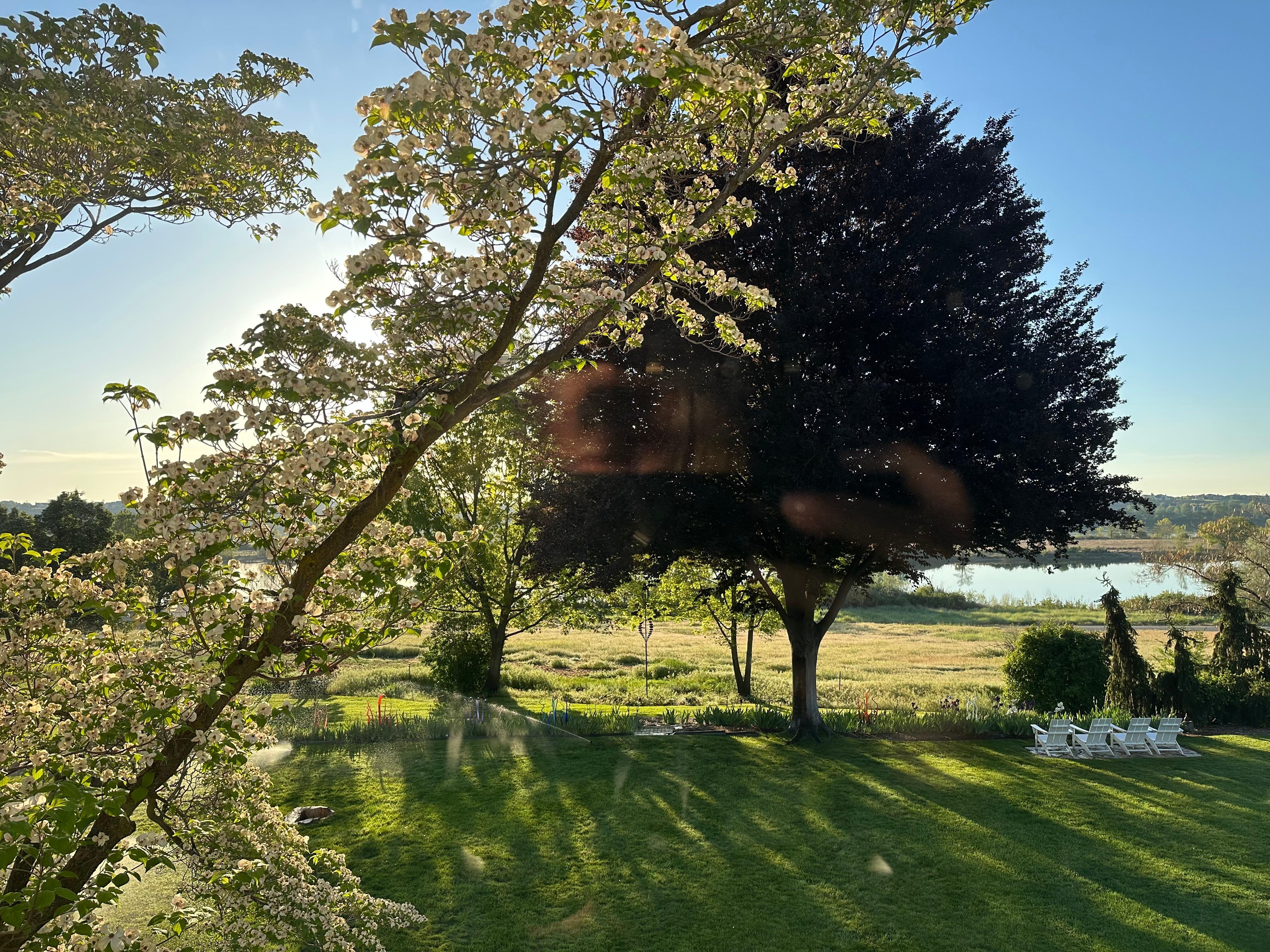 Gorgeous morning view!
