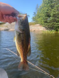 Not bad for my last cast of the week