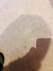 Carpet stains in room