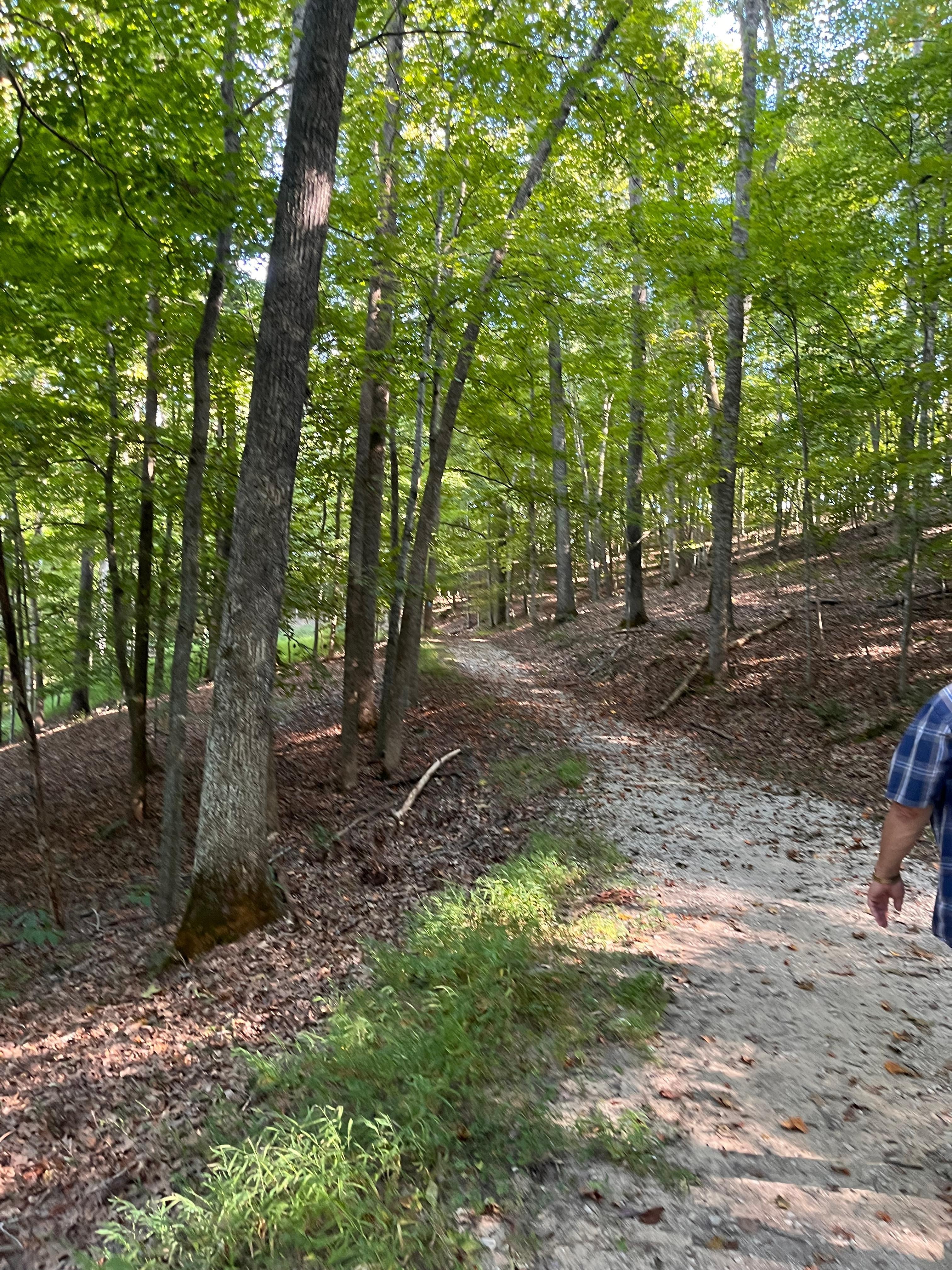We took this beautiful hiking path next to the ledge. 