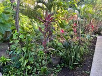 Hotel gardens