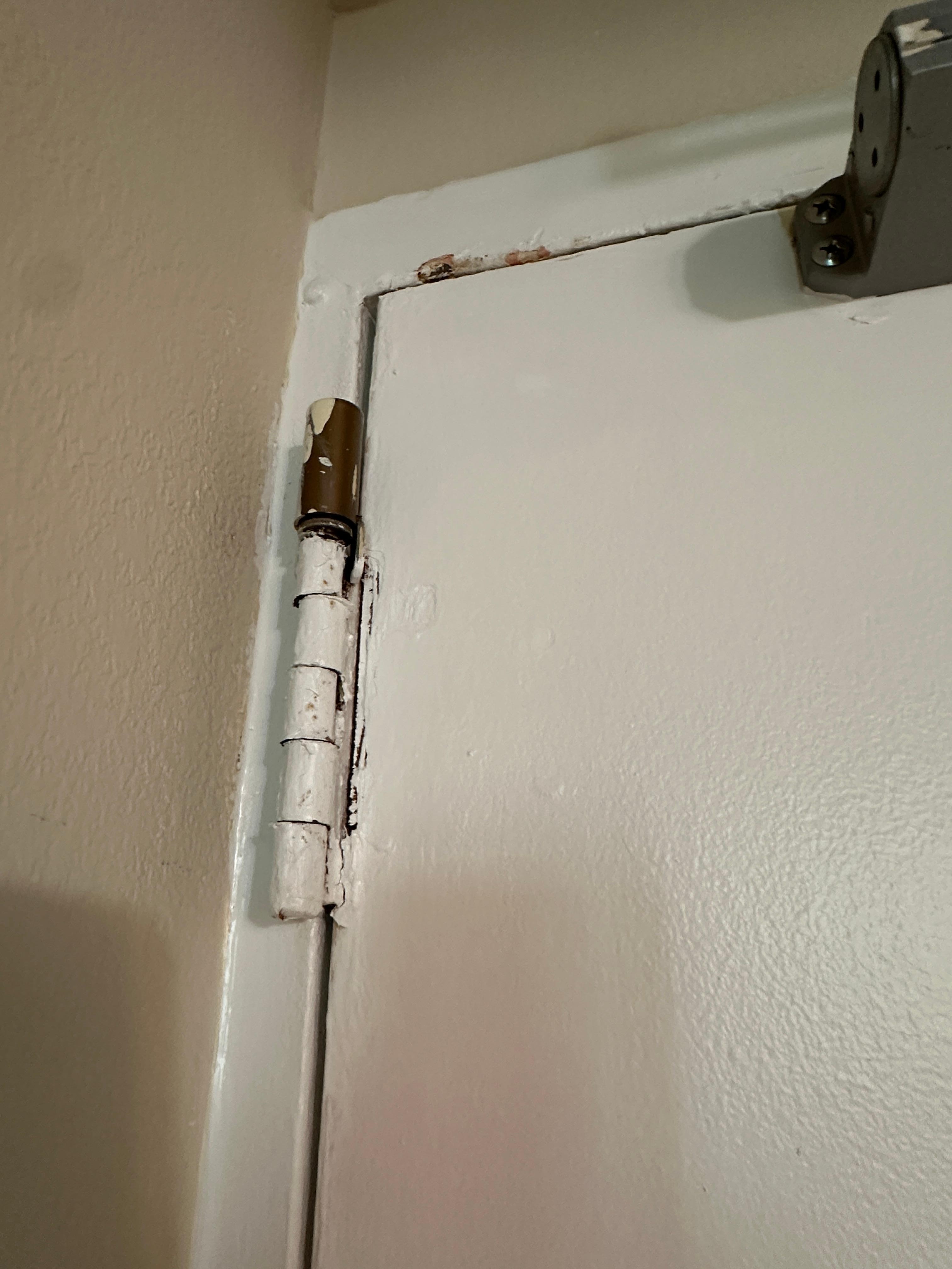 Mold and rust in various places. They tried to paint over it