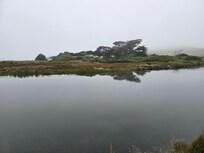 View from deck