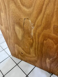 Broken bathroom door