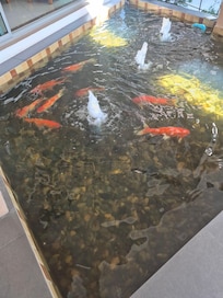 Fiskene ved inngangen