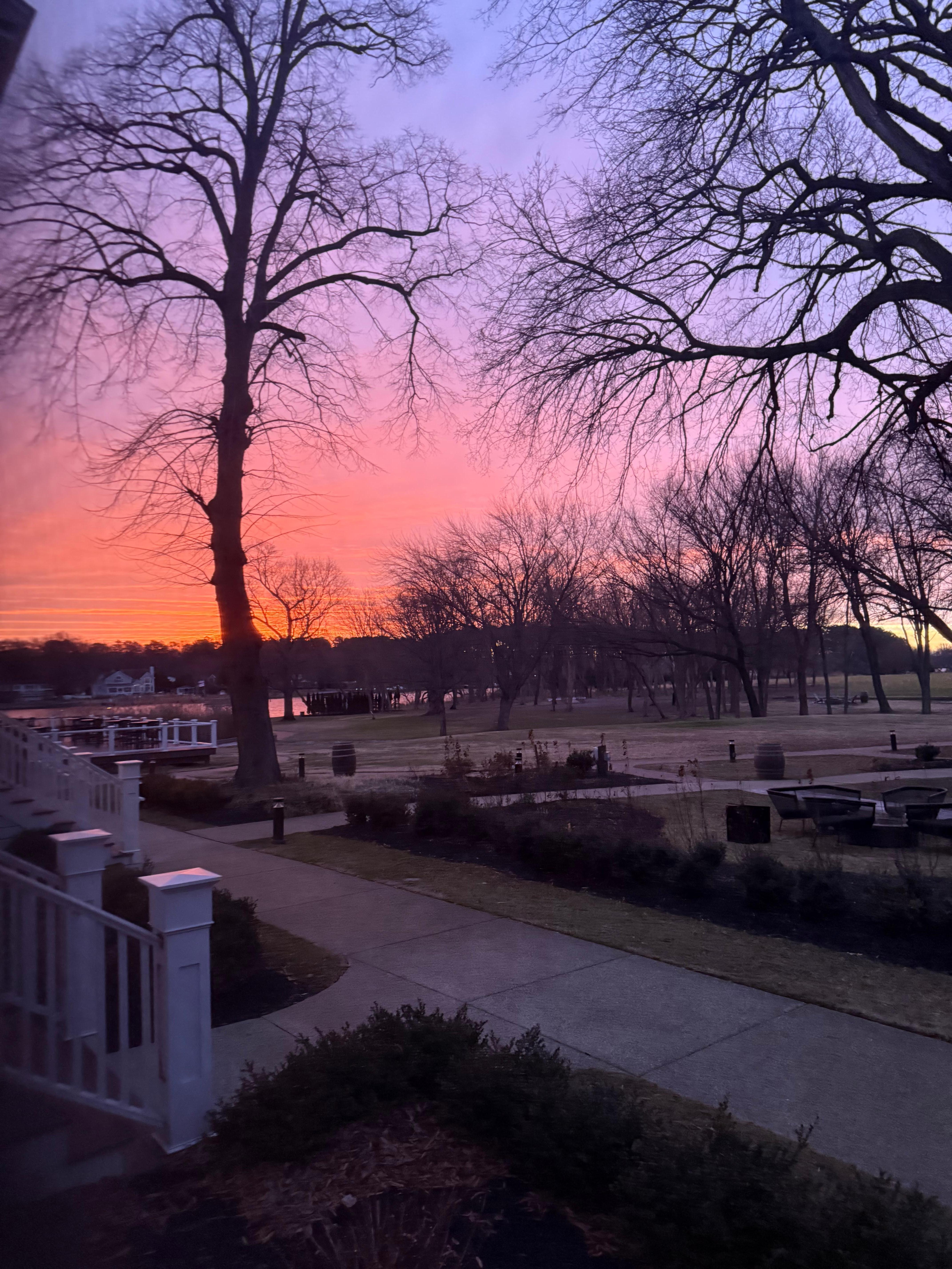 My view waking up from bed. 