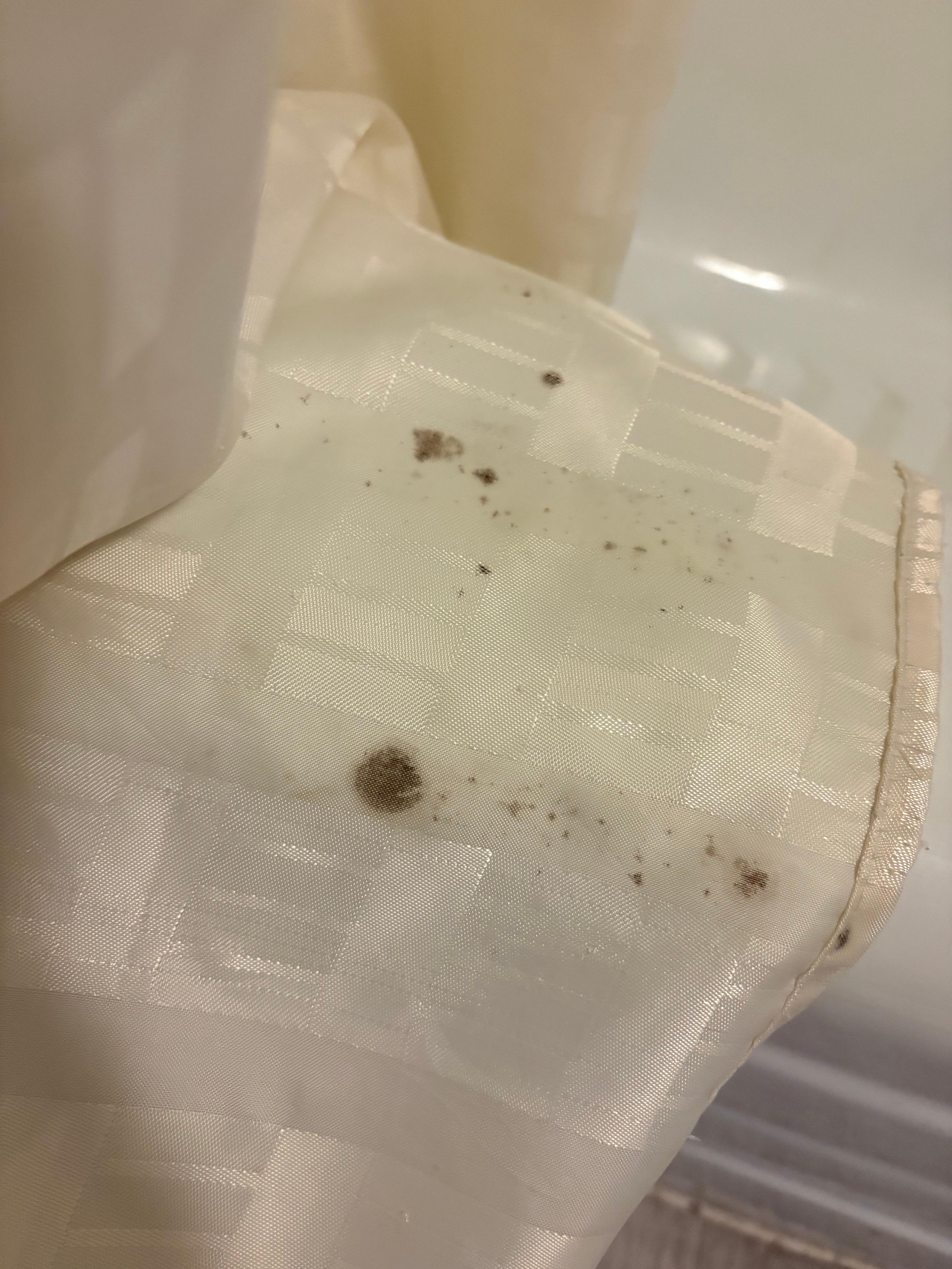 Moldy shower curtain