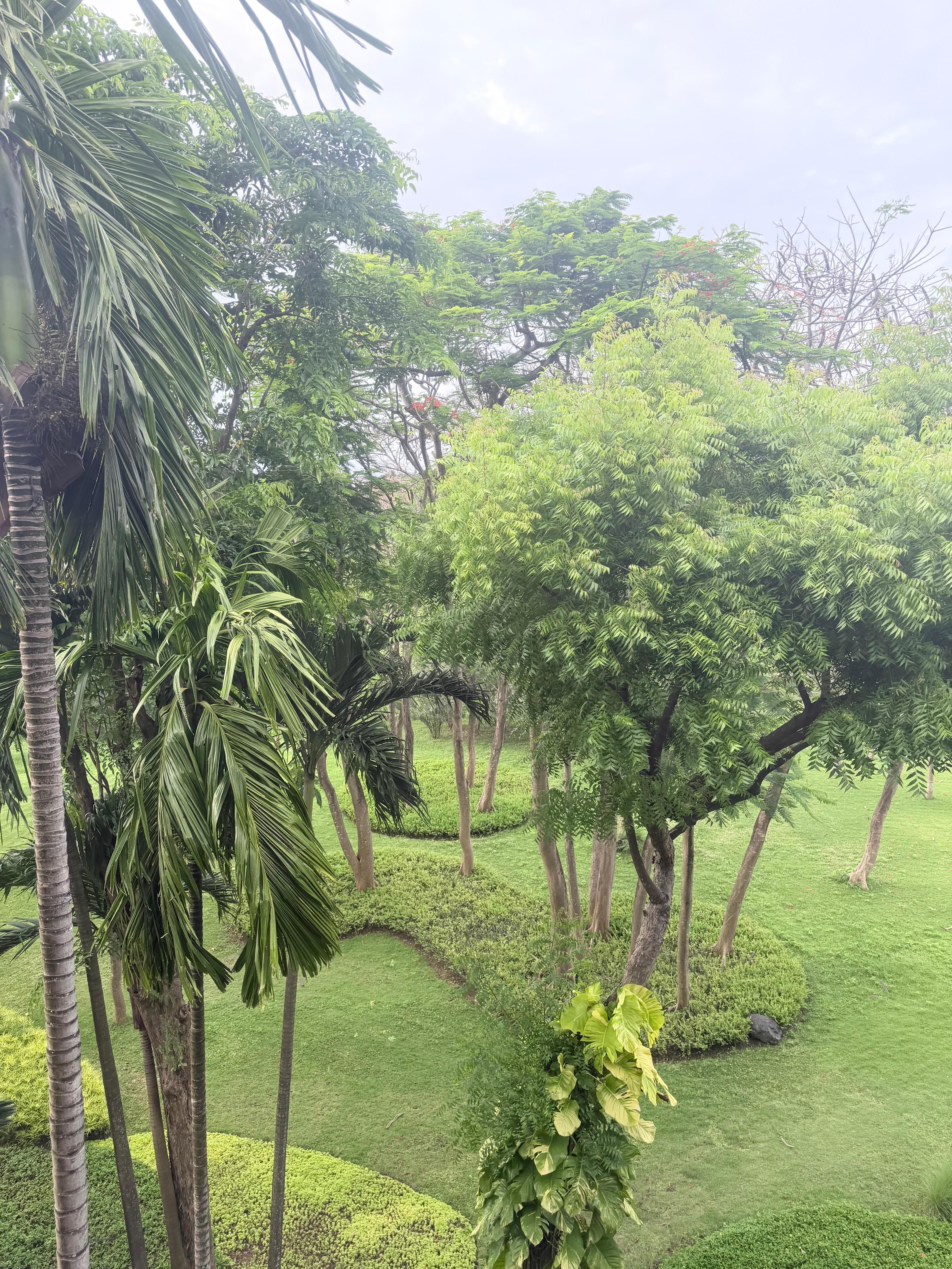 The view from our room 