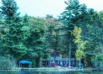 Beautiful huge pines