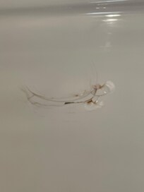Cracked shower floor that was a little sharp