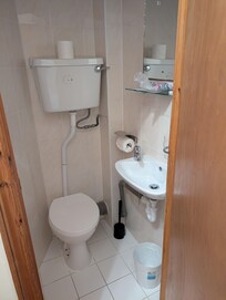 Toilet ruim genoeg maar spoelde slecht door