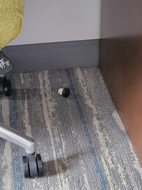 This was on the floor when we entered the room stayed the whole trip even though we had room service every day