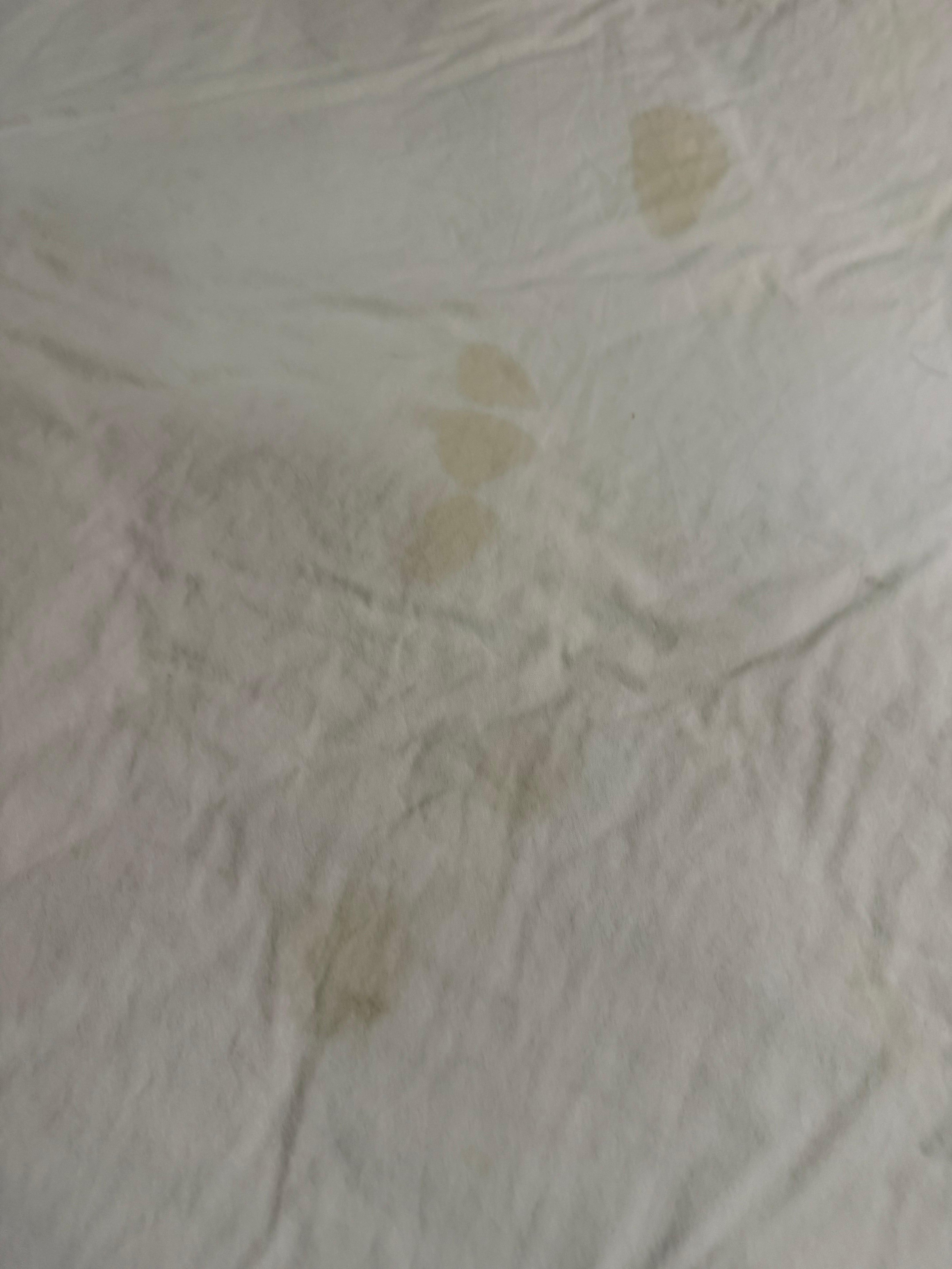 bodily fluids in bed dirty used sheets and pillowcases 