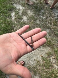Some of nails etc in yard