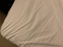 Bottom sheet