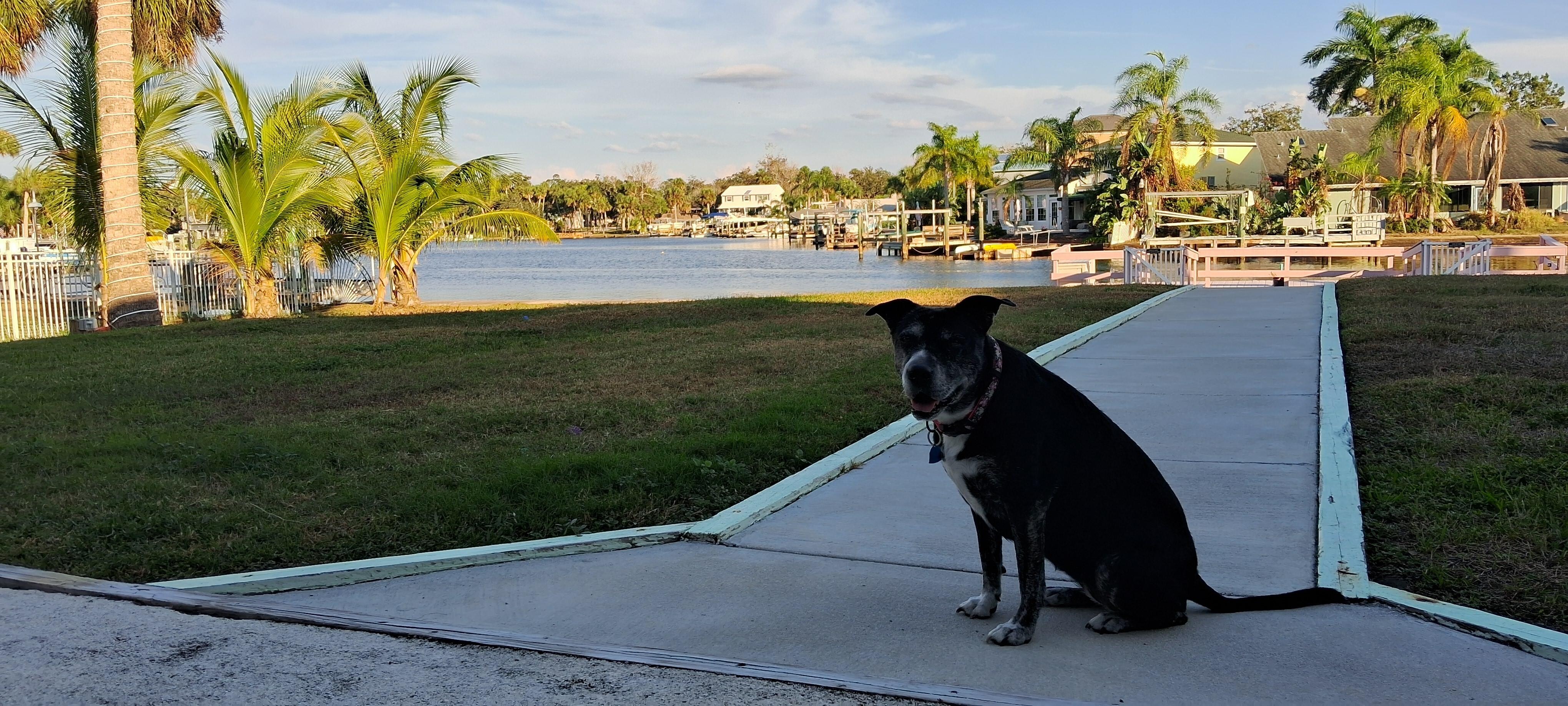 Enjoying an amazing view!