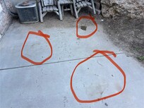 That was 3 piles of pee just outside our door.