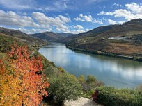 View from the living room