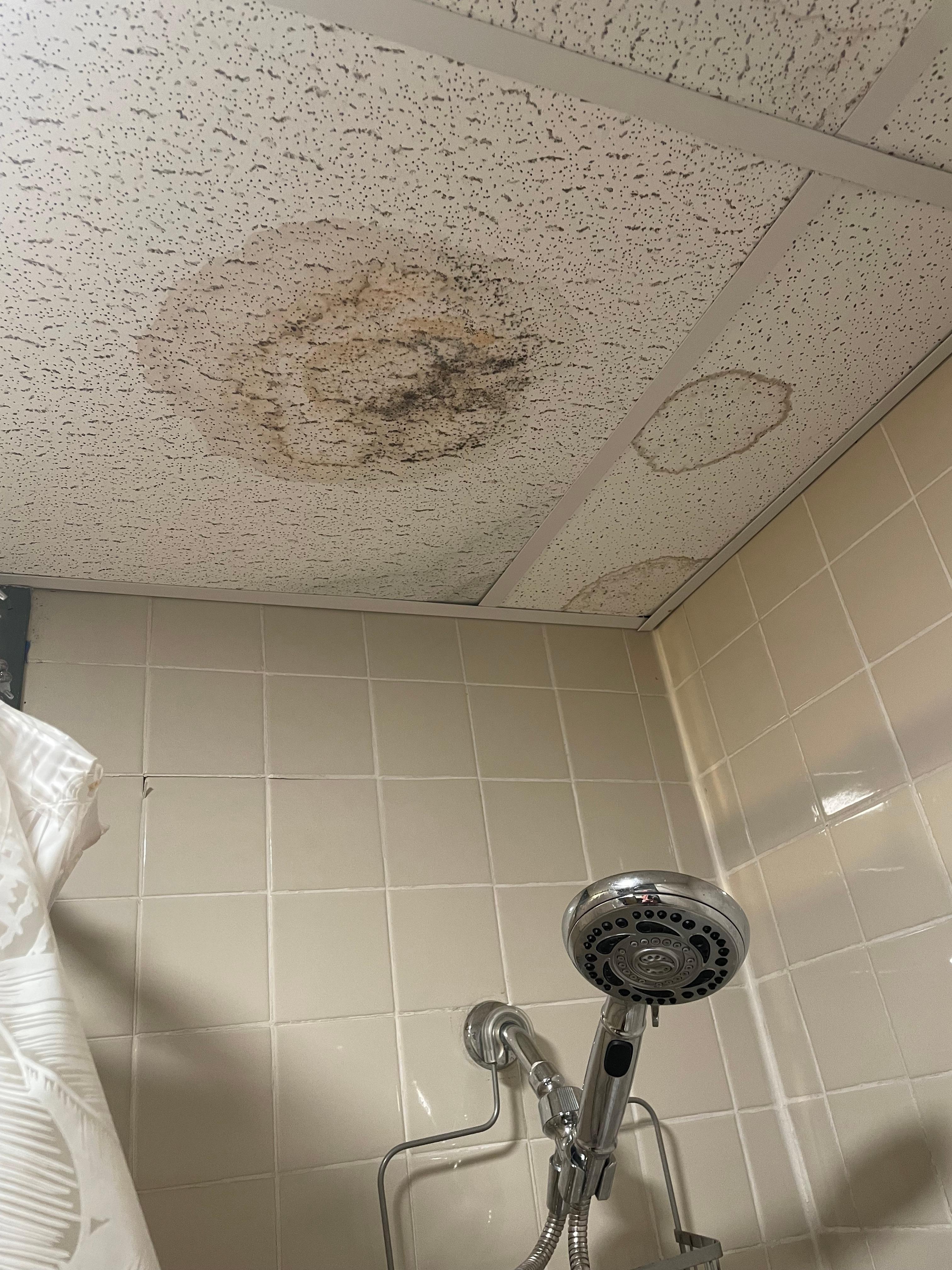 Bathroom ceiling tile