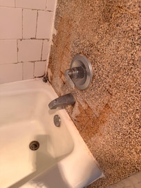 MOLD and broken tub tiles