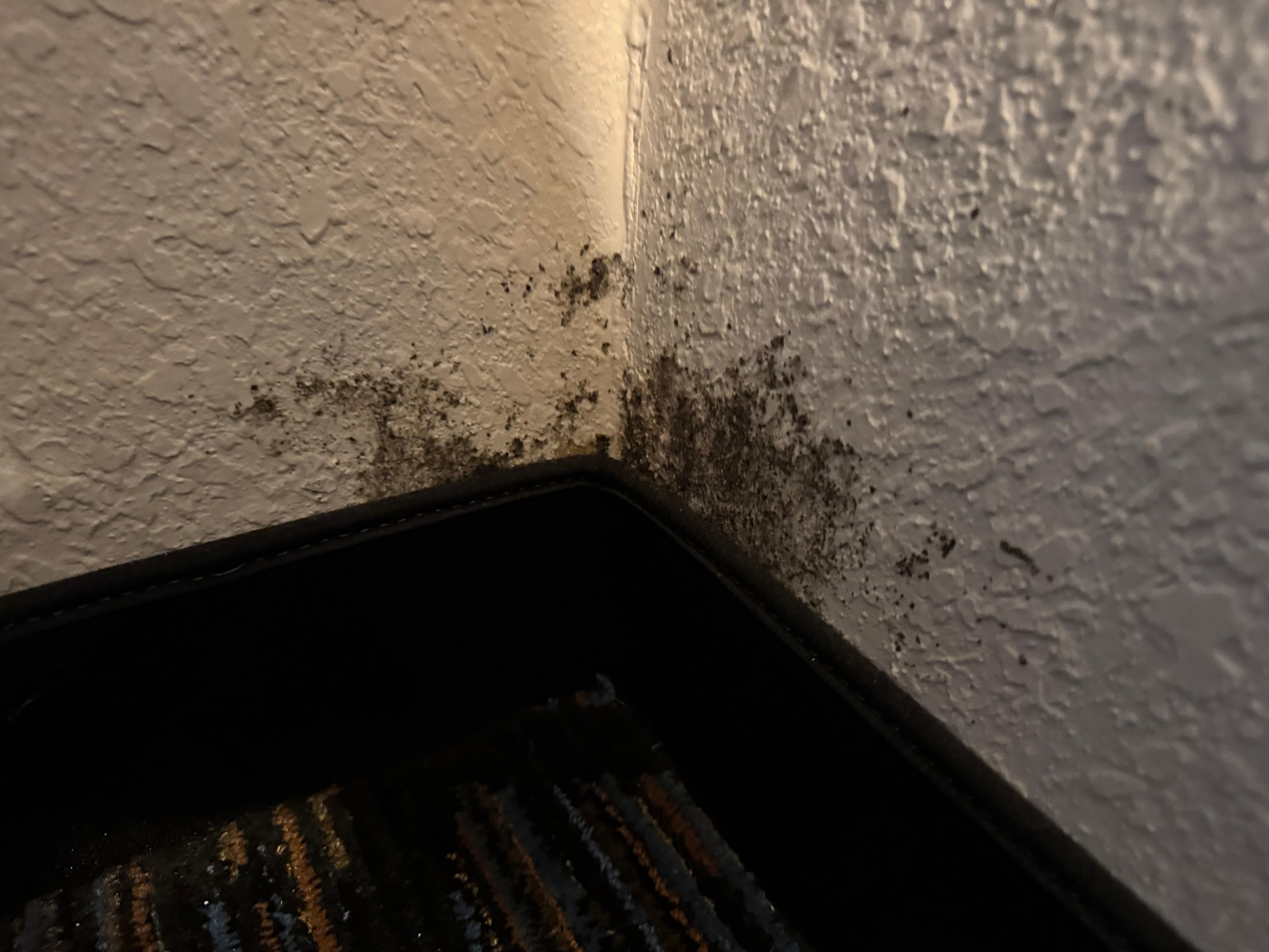 Mold