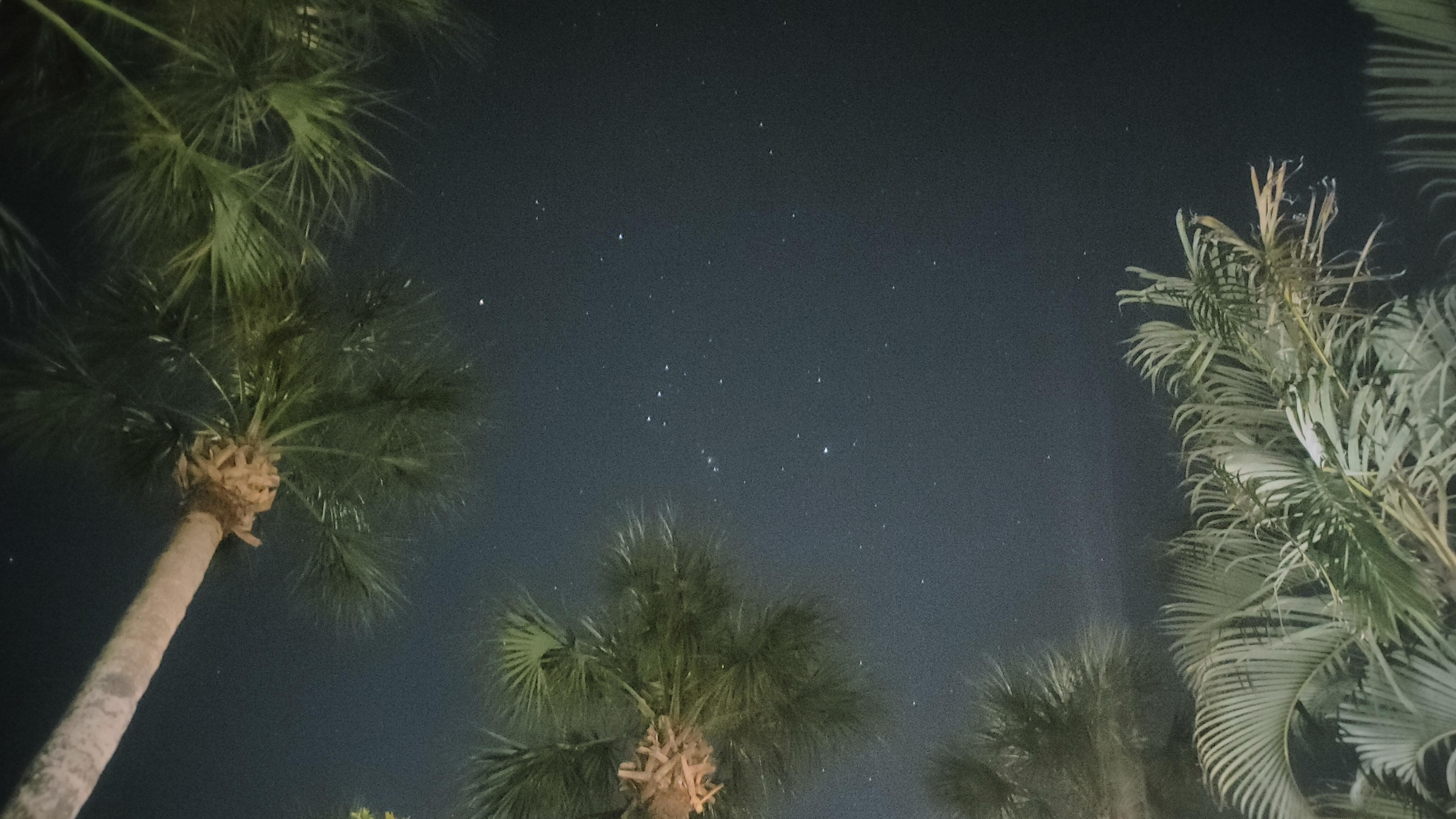 Evening view common area