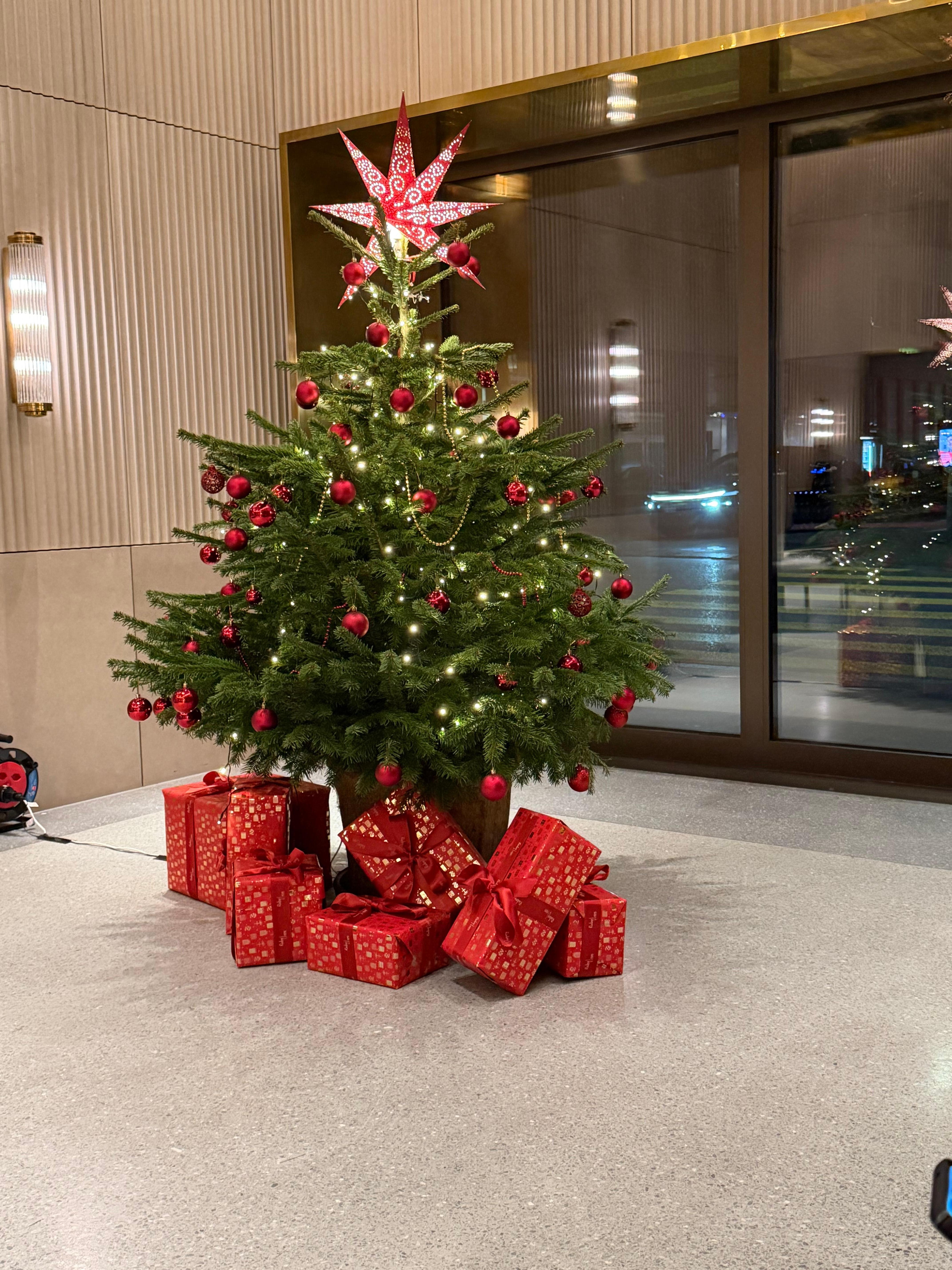 Christmas tree in the lobby of Ruby Mimi Hotel. 