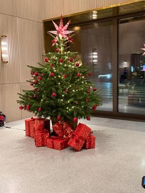 Christmas tree in the lobby of Ruby Mimi Hotel.