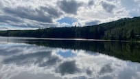 Open creek dam