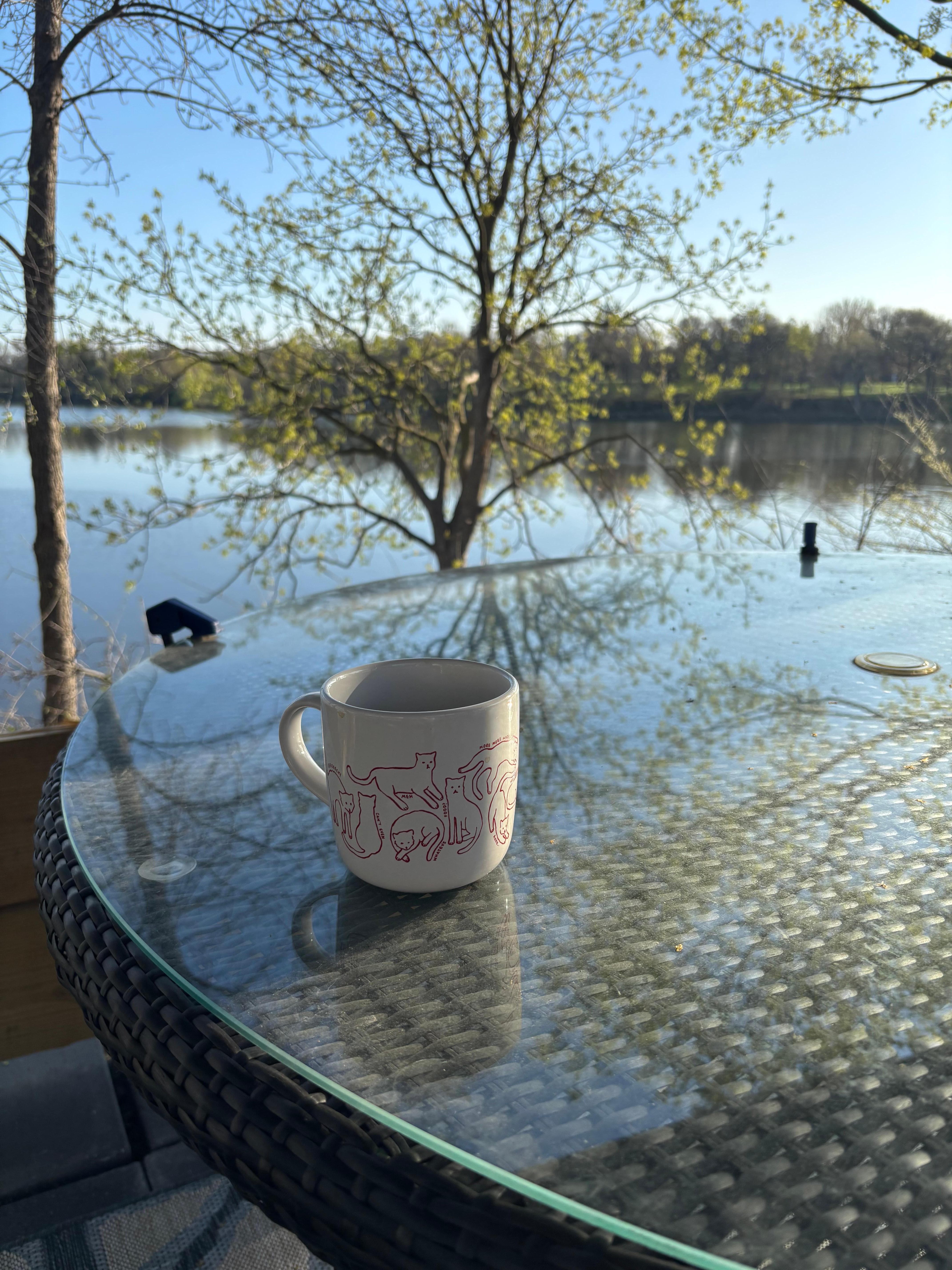 A view from the pergola while enjoying our morning coffee. 