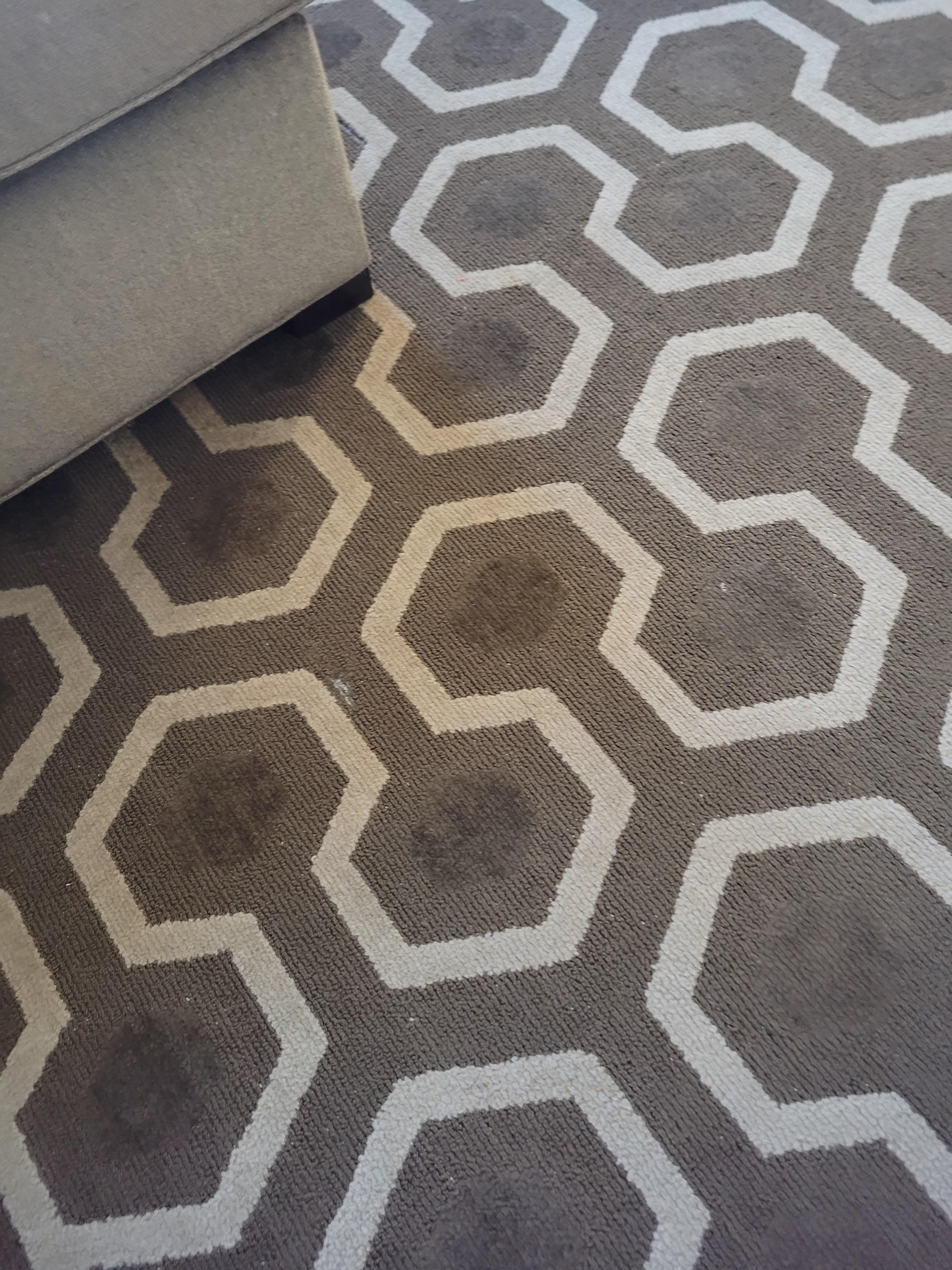 Dirty carpet camera doesn't do it justice.  I wish I could submit more pics.