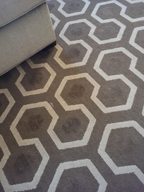 Dirty carpet camera doesn't do it justice. I wish I could submit more pics.